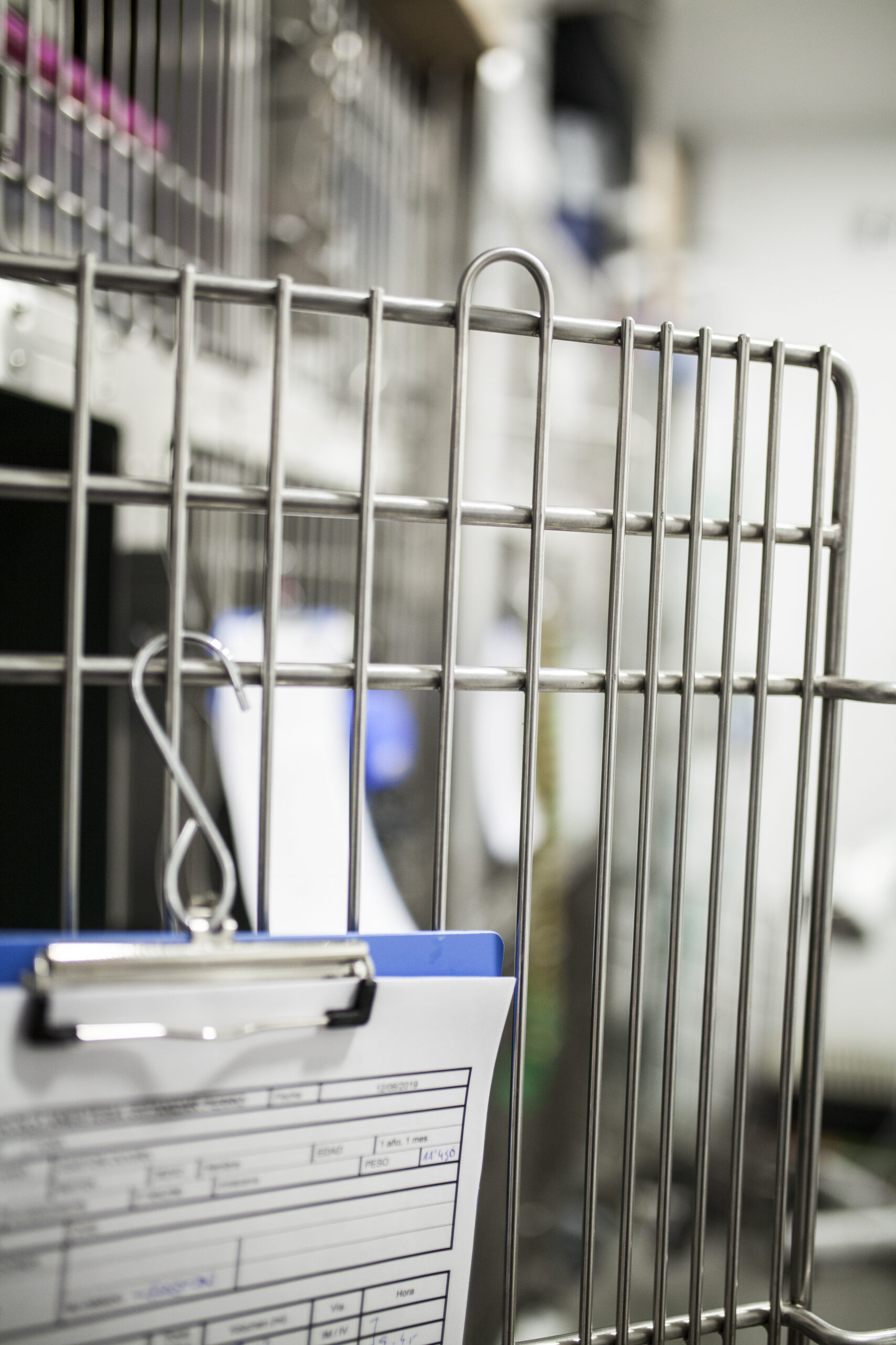 Bramaprzejście w ogrodzeniu tymczasowym ażurowym